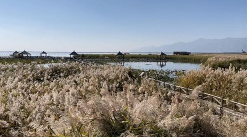 图片 12.png 图片 12.png