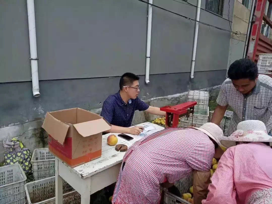 杨千帆在基层组织集中供销.jpg