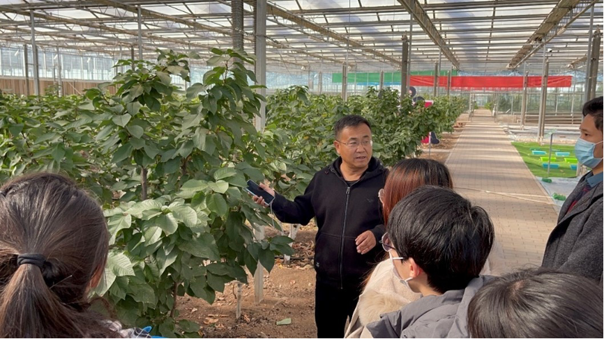 图片 13.png 图片 13.png